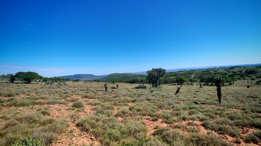 0 Bedroom Property for Sale in Somerset East Rural Eastern Cape